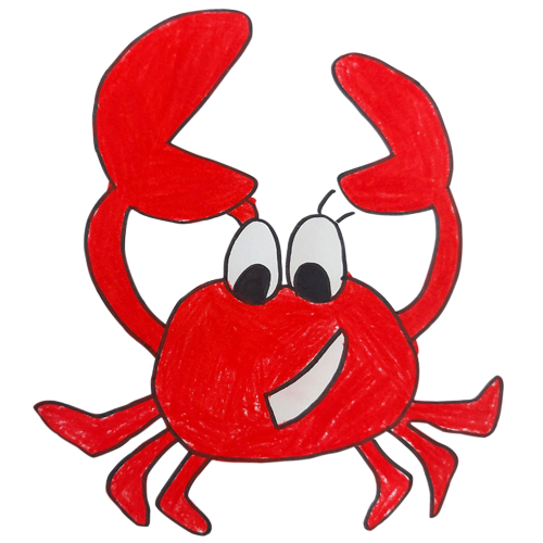 5 5